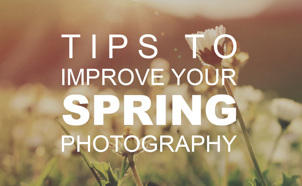 Tips to Improve Your Spring Photography