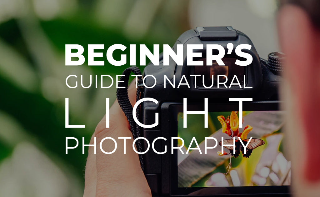 Beginner’s Guide to Natural Light Photography