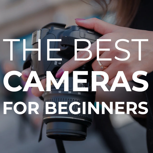 The Best Cameras for Beginners