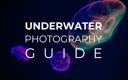 Underwater Photography Guide