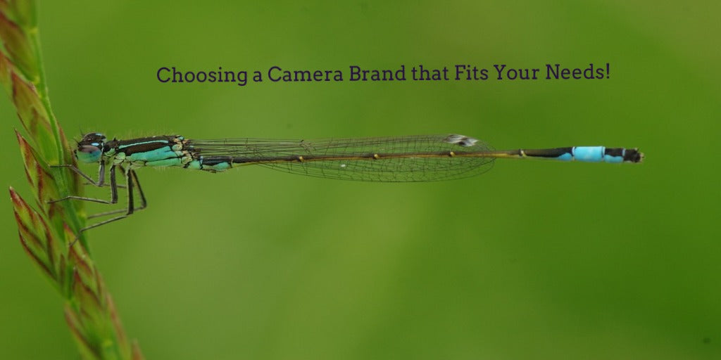 Macro Photography-Not just for the Pro’s Some Tips for Beginners