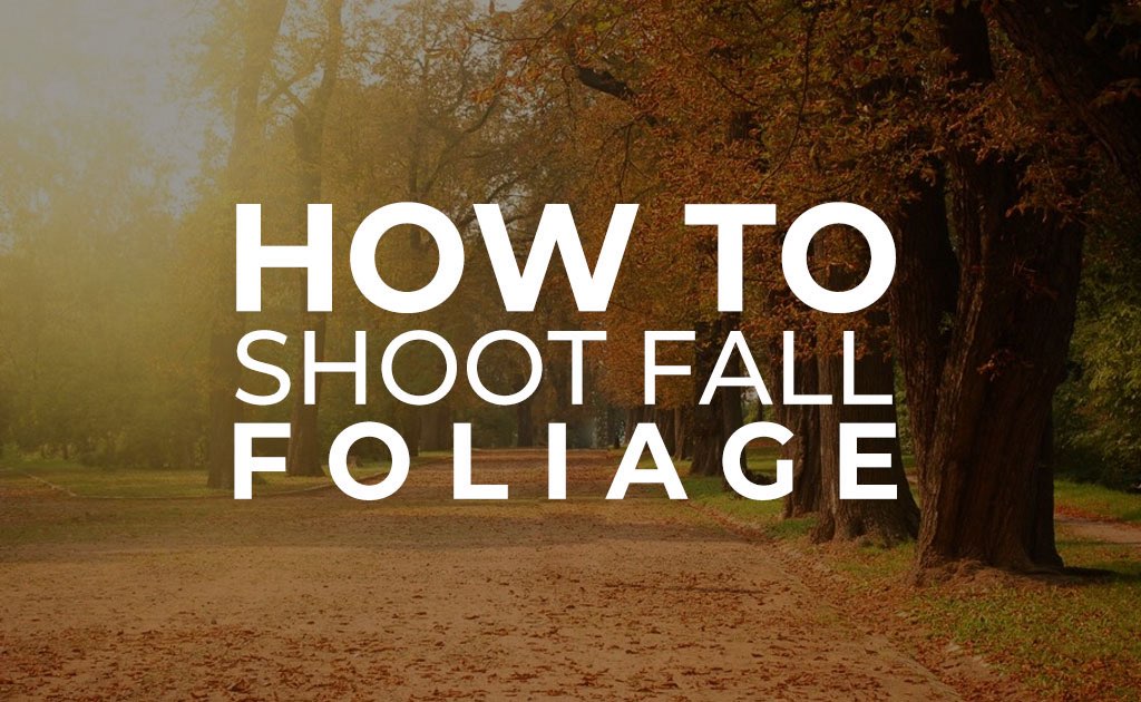 How to Shoot Fall Foliage