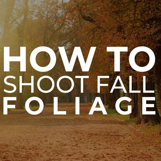 How to Shoot Fall Foliage