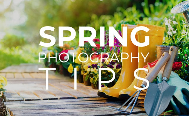 Spring Photography Tips — Beach Camera