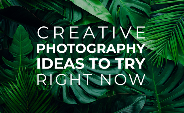 Creative Photography Ideas to try Right Now