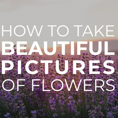 How to take beautiful pictures of flowers