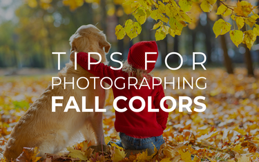 Tips for Photographing Fall Colors