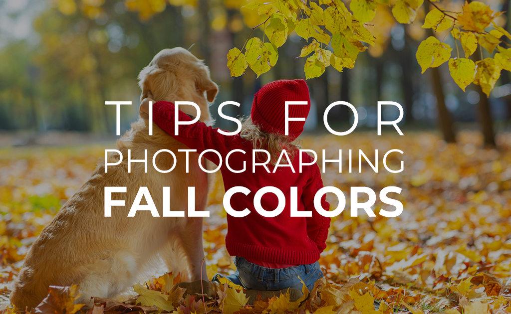 Tips for Photographing Fall Colors