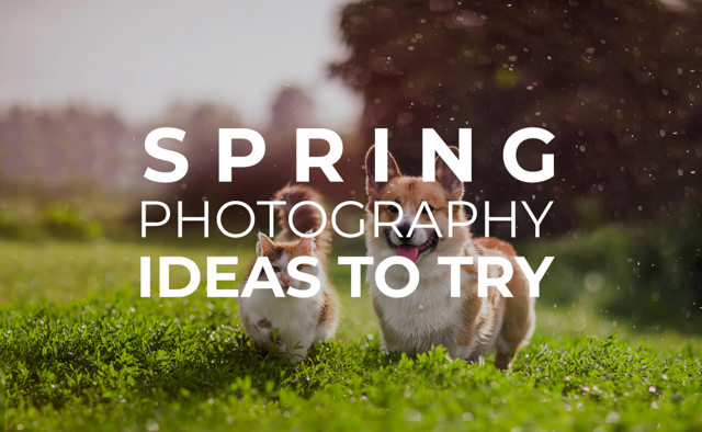 Spring Photography Ideas To Try