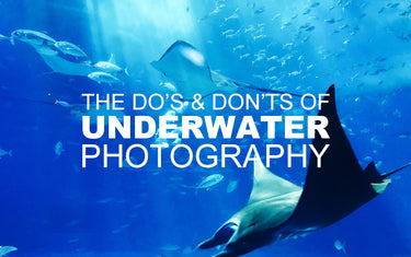 The Do’s & Don’ts of Underwater Photography