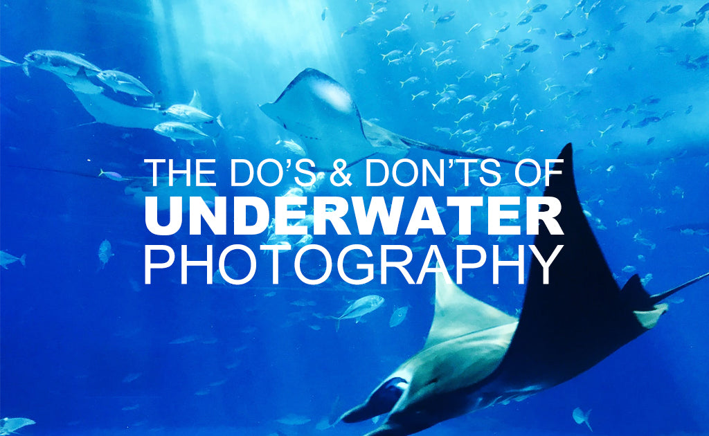 The Do’s & Don’ts of Underwater Photography