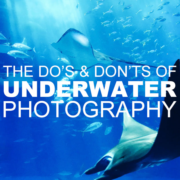The Do’s & Don’ts of Underwater Photography