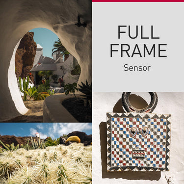 Panasonic LUMIX S9 Full Frame Mirrorless Camera Body Jet Black DC-S9BODYK + Deluxe Bundle