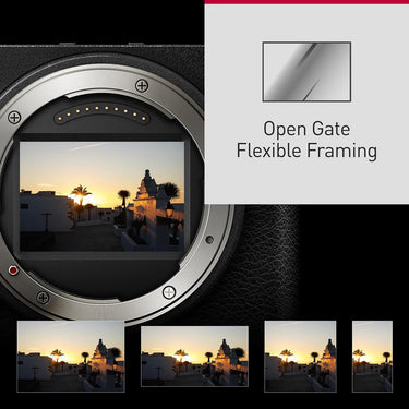 Panasonic LUMIX S9 Full Frame Mirrorless Camera Body - DC-S9BODYK - Open Box