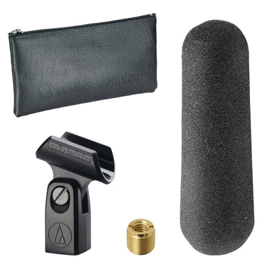 Audio-Technica Line + Gradient Condenser Microphone (AT875R)