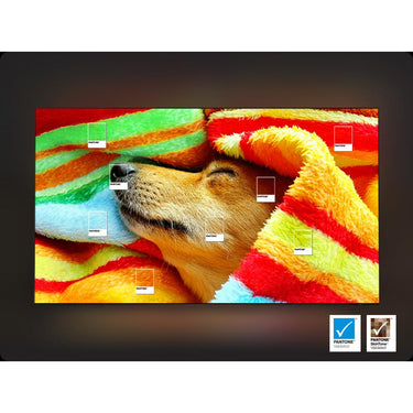 Samsung 83 inch OLED 4K S95F Vision AI Smart TV (2025)