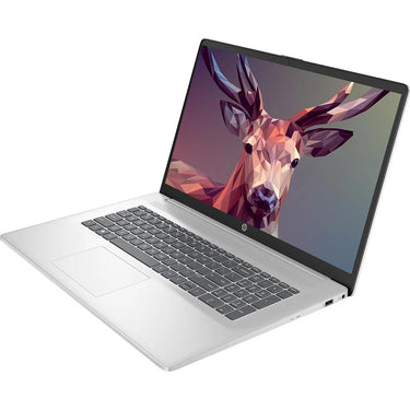 HP-Consumer Remarketing 17.3" HD+ Multi-Touch Notebook in Silver - 9X495UAR#ABA