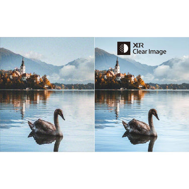 Sony BRAVIA 8 II 55 inch Class QD-OLED 4K HDR Google TV (2025)