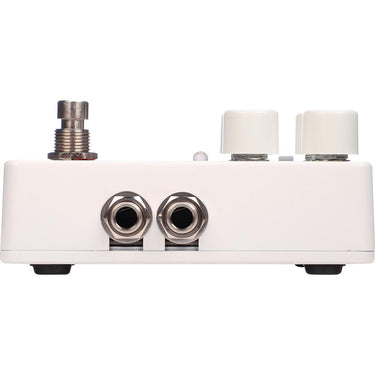 Electro-Harmonix Canyon Delay and Looper Pedal