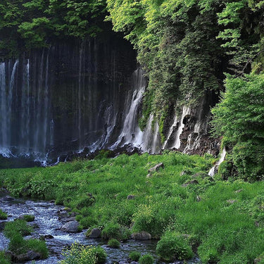 Nikon NIKKOR Z 70-180mm f/2.8 Telephoto Zoom FX Lens Z-Mount Mirrorless Cameras Bundle