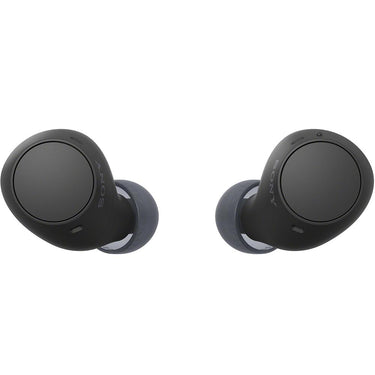 Sony Truly Wireless Earbuds with 22-Hour Battery + Converter & 1 Year Warranty