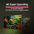 LG C5 OLED evo 4K Smart TV — image 11