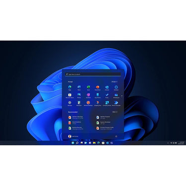 Microsoft Windows 11 Pro 64-Bit USB Flash Drive Software - HAV-00162