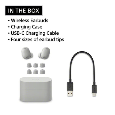 Sony WF-1000XM6 The Best Truly Wireless Noise Cancelling Earbuds - Silver