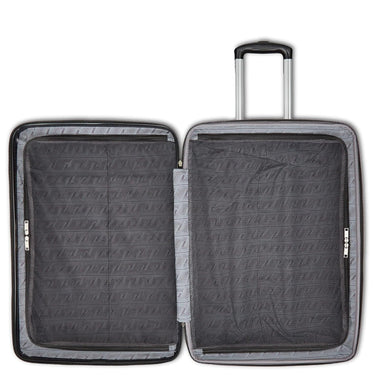 Samsonite Alliance SE Hardside Luggage with Spinner Wheels, 3PC Set (CO/MED/LG), Silver