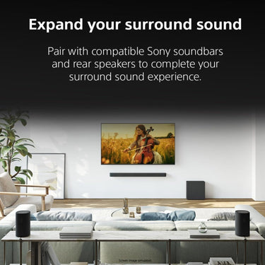 Sony SA-SW7 BRAVIA Theatre Sub 7 100W Additional Wireless Subwoofer