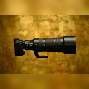 Nikon NIKKOR Z 120-300mm f/2.8 TC VR S