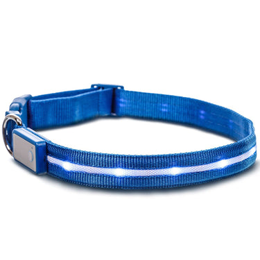 Deco Pet 18-Inch LED Dog Collar w/3 Light Modes for Night Safety, Battery-Powered - Blue