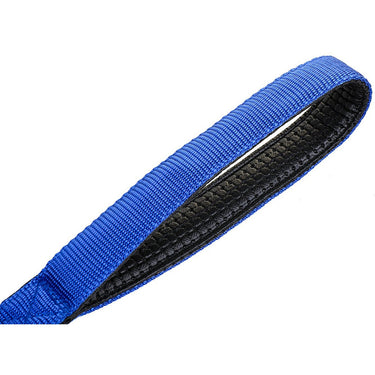 Deco Pet LED Dog Leash w/3 Light Modes for Night Safety, Battery-Powered - Blue