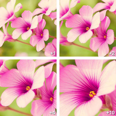 Deco Gear 58mm 4pc HD Macro Close-Up Lens Filter Set +1 +2 +4 +10 with Protective Wallet