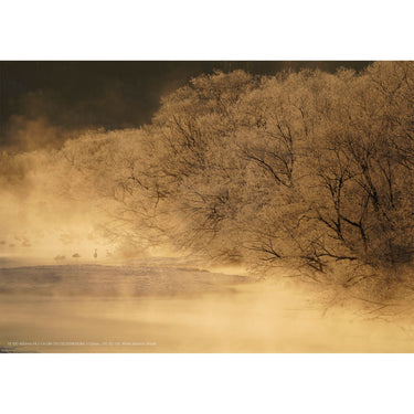 Sony a7 III Alpha Mirrorless 4K HDR Camera Body + Sigma 35mm F1.4 ART DG HSM Lens Kit