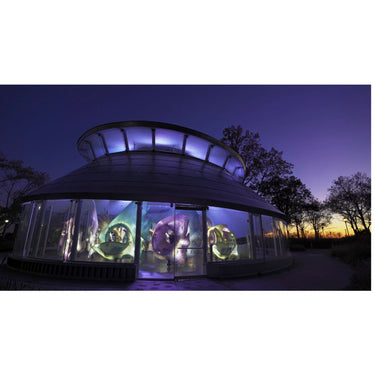 Sony a7 III Alpha Mirrorless 4K HDR Camera Body + Sigma 35mm F1.4 ART DG HSM Lens Kit