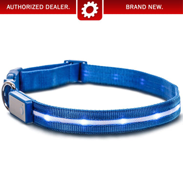 Deco Pet 18-Inch LED Dog Collar w/3 Light Modes for Night Safety, Battery-Powered - Blue