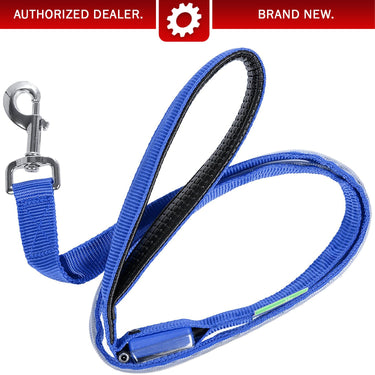 Deco Pet LED Dog Leash w/3 Light Modes for Night Safety, Battery-Powered - Blue