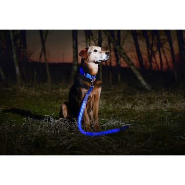 Deco Pet LED Dog Leash and Collar with 3 Light Modes, Battery-Powered - Blue