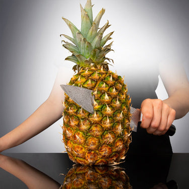 Deco Chef Chef Knife 8-inch Damascus Steel - 67 Layers AUS-10 Razor Sharp Japanese Quality