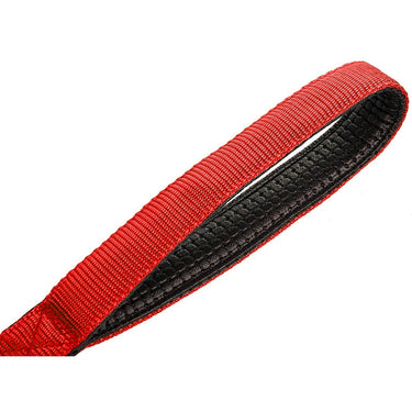 Deco Pet 2-Pack Blue/Red LED Dog Leash w/3 Light Modes for Night Safety, Battery-Powered