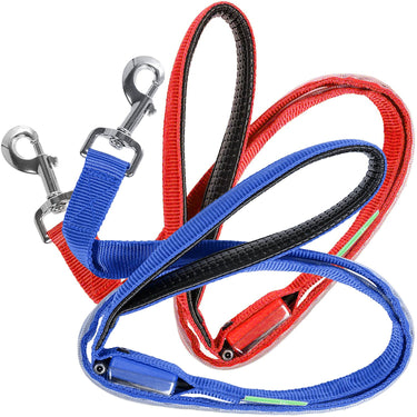 Deco Pet 2-Pack Blue/Red LED Dog Leash w/3 Light Modes for Night Safety, Battery-Powered
