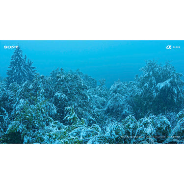 Sony SEL50F18/B - 50mm f/1.8 Mid-Range Prime E-Mount Lens (Black)