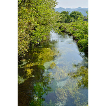 Tamron 18-200mm F/3.5-6.3 Di II VC Lens Kit for Canon EF Mount DSLR Cameras B018 Bundle