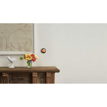 Google Nest Learning Smart Thermostat 3rd Gen Mirror Black T3018US + Nest Cam Indoor Camera