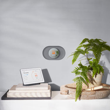 Google Nest Trim Plate for Nest Thermostat (Charcoal) - GA02086-US