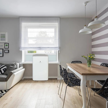 Friedrich ZHP14DB ZoneAire 12,000 BTU Dual-Hose Air Conditioner, Heater, Dehumidifier, Fan