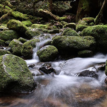 Canon RF 14-35mm f/4 L IS USM Ultra Wide Zoom Full Frame Lens for RF Mount 4857C002