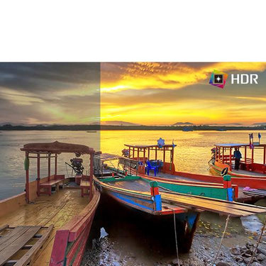 LG 24QP500-B 24" QHD (2560 x 1440) IPS Display Monitor with HDR 10 and AMD FreeSync