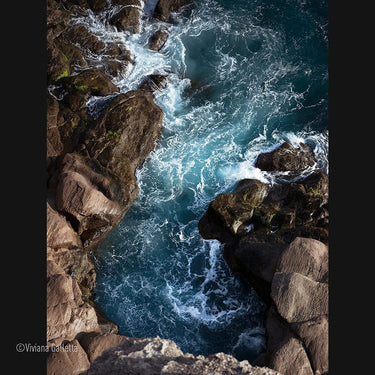 Panasonic LUMIX S 50mm F1.8 Lens for L-Mount Mirrorless Full Frame Cameras S-S50